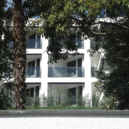 Fiore Rosa By Fewotessin