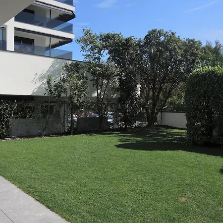 Fiore Rosa By Fewotessin