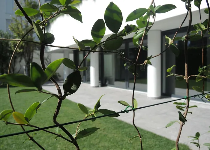 Fiore Rosa By Fewotessin Ascona